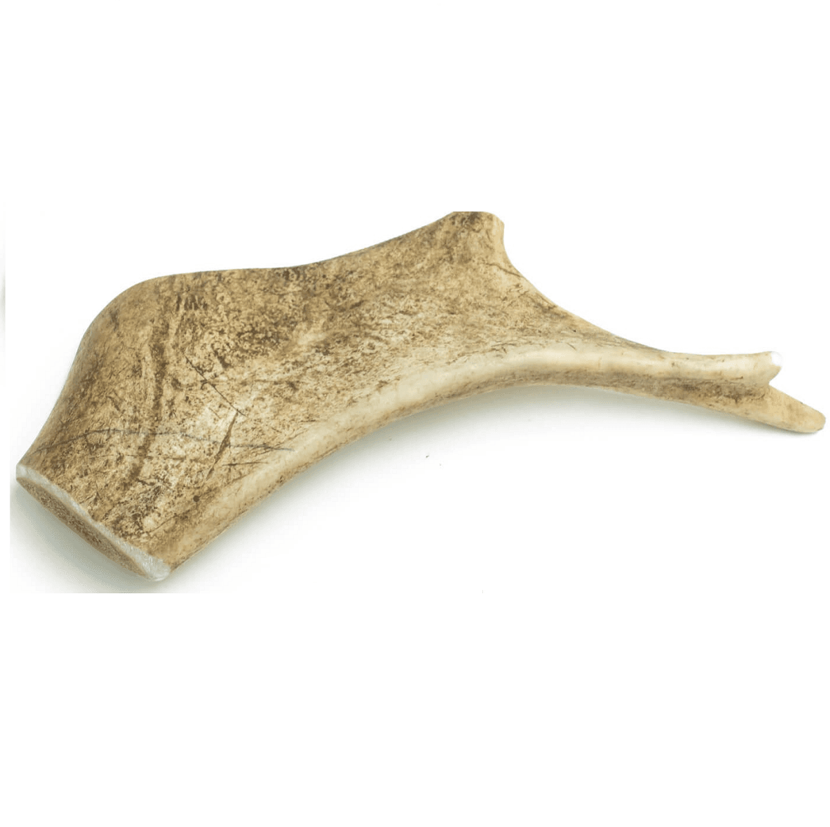 Recompense Naturale de Ros Pentru Caini, Coarne de Cerb Lopatar, 4 DOGS Original, Marime L, 19cm