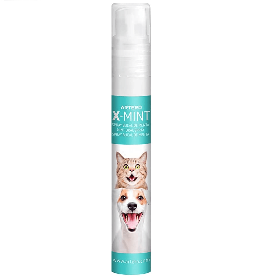 ARTERO X-MINT, Spray Bucal Caine