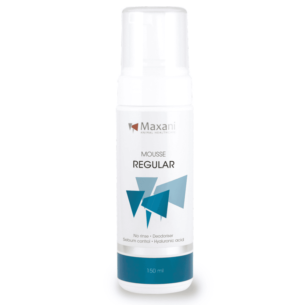 MAXANI Regular Mousse 150 ml