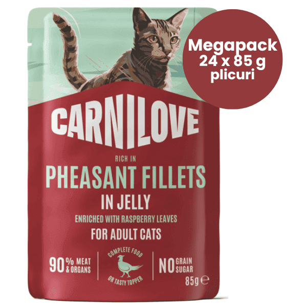 CARNILOVE Cat cu Fazan si Frunze de Zmeura in Aspic Megapack 24x85 g