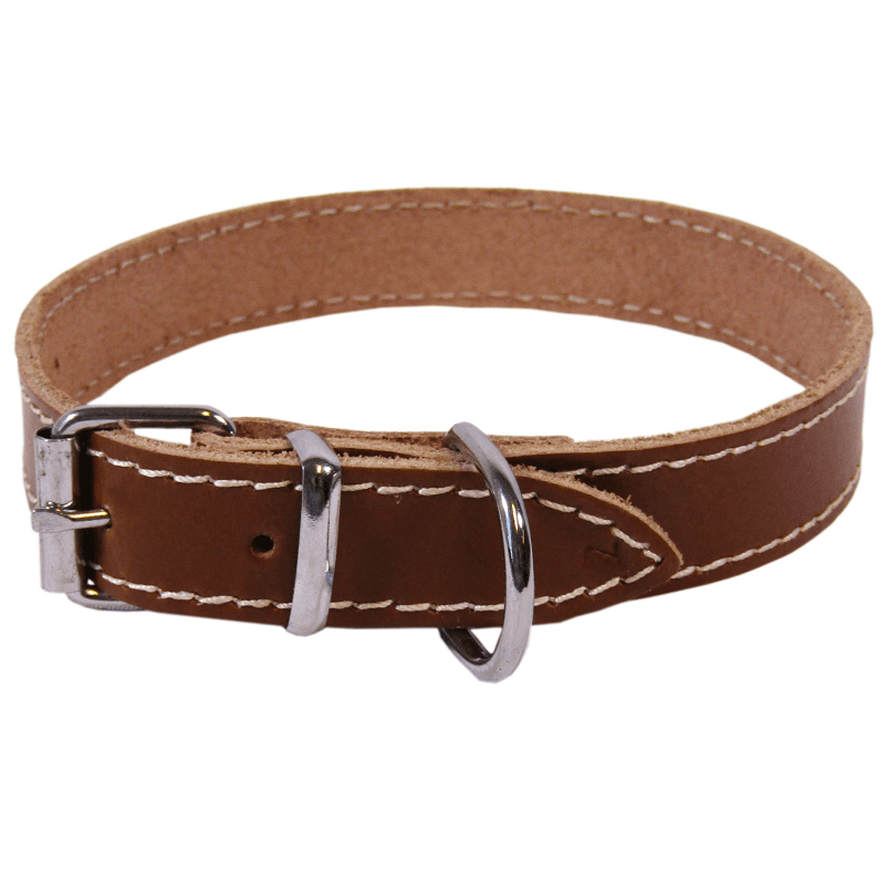 Zgarda din Piele Pentru Caini BASIC, Diverse Culori, 63cm