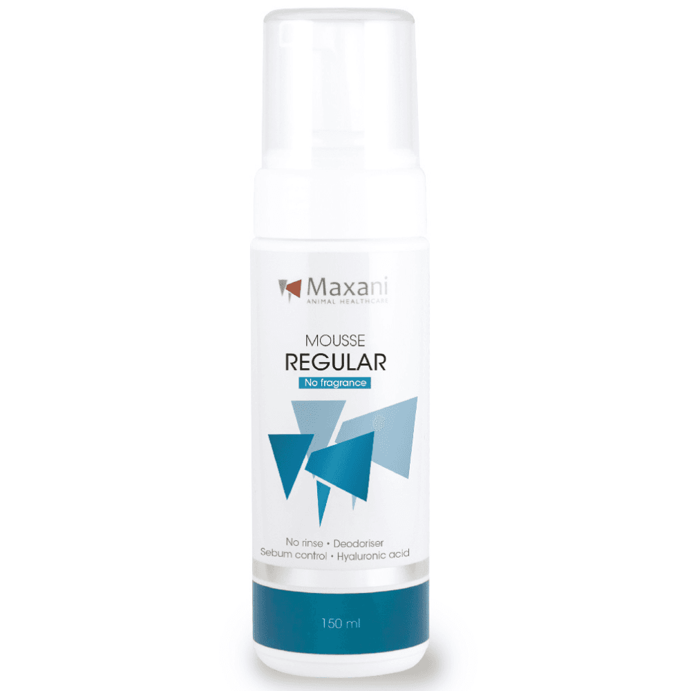 Maxani Regular Mousse No Fragrance 150 ml