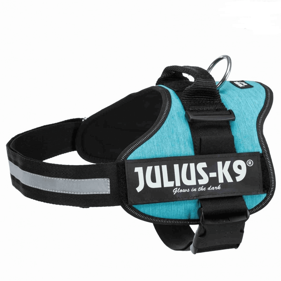JULIUS K9 POWER Aqua Marine, Marime 2, Ham Caine 28-40kg