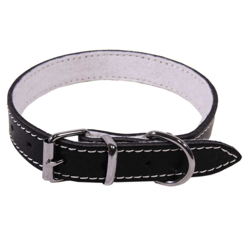 Zgarda din Piele Captusita Pentru Caini BASIC. Diverse Culori, 37cm