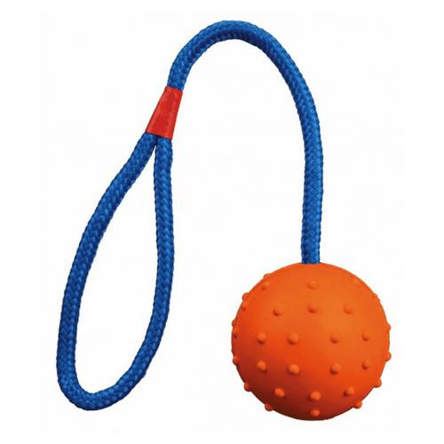 Jucarie Caini Minge Plina din Cauciuc 7cm cu Snur 30 cm