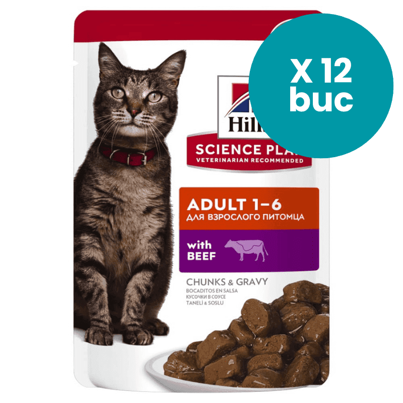 HILL'S Science Plan Adult cu Vita, Box 12x85 g – Hrană Umedă pentru Pisici Adulte, Suport pentru Energie si Vitalitate