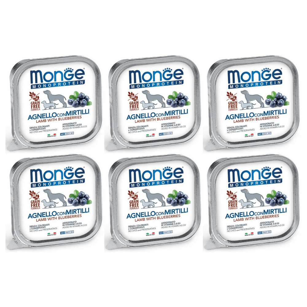 MONGE MONOPROTEIN Grain Free Adult, Miel si Afine, Set Conserve Hrana Umeda Monoproteica, Fara Cereale, Caine (pateu) 6x150g