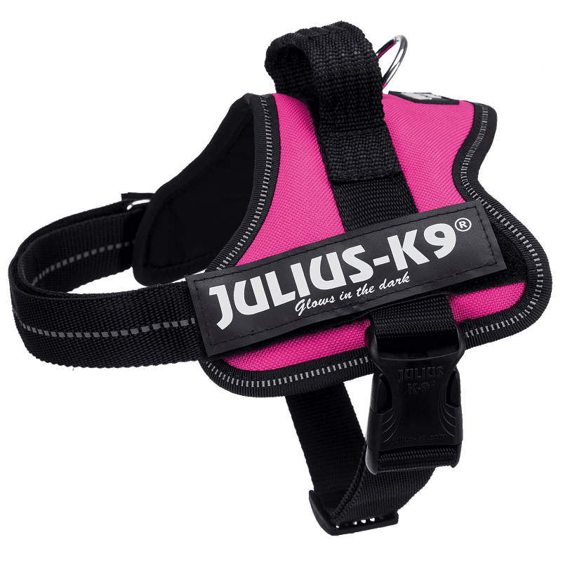 JULIUS K9 IDC POWER Fucsia, Marime Mini, Ham Caine 7-15kg