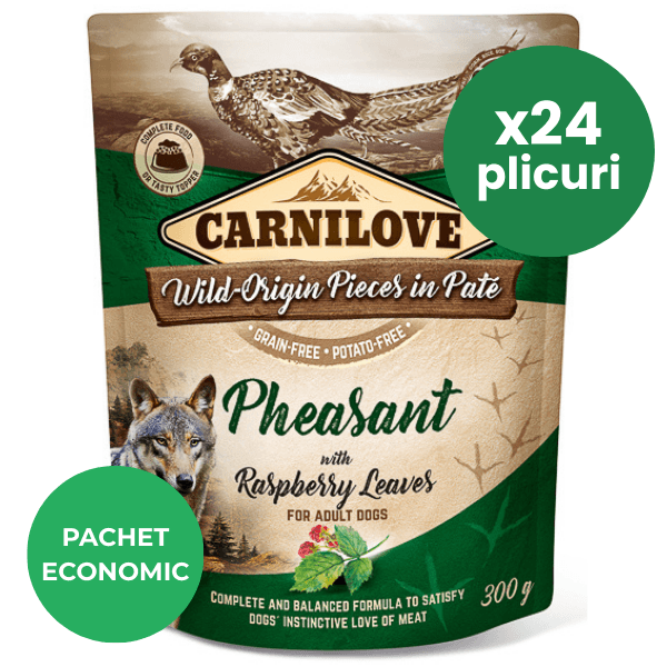 CARNILOVE Dog Pouch Pate Fazan cu Frunze de Zmeur Set 24x300 g
