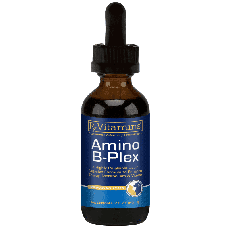 RX VITAMINS Amino B-Plex 60 ml | Supliment pentru Sustinerea Refacerii Organismului si a Vitalitatii la Caini si Pisici
