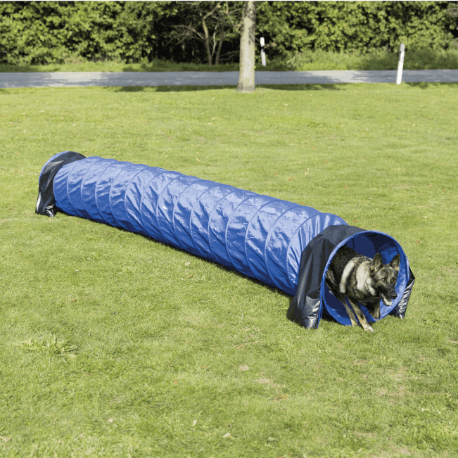 Tunel AGILITY Caini 5m / 60cm