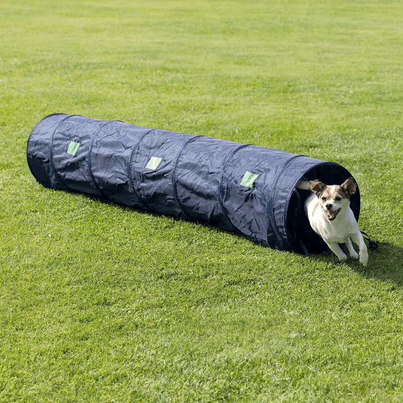 Tunel AGILITY Caini Talie Mica 2m / 40cm